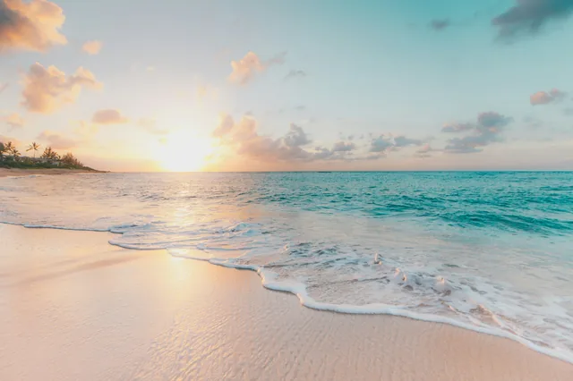 Tropical beach reference